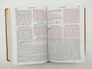 Biblia Pastoral de Estudio de la Vida Plena RV1960 duotono marron