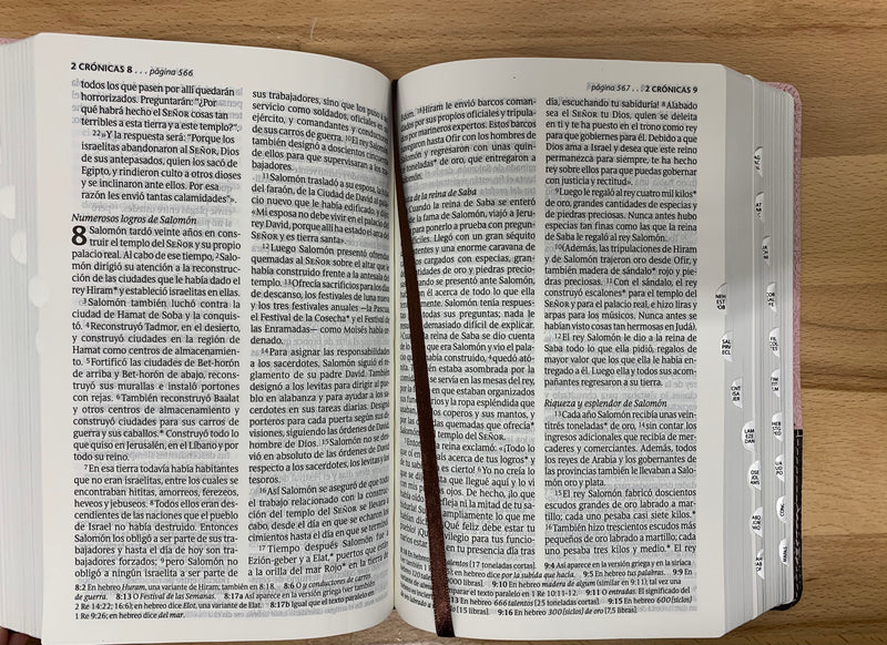 Bíblia letra grande Ntv edición  Tamaño personal sentipiel rosa índice