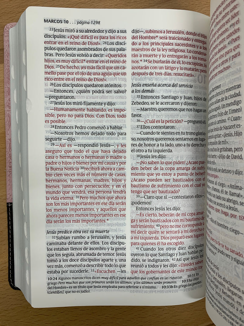 Bíblia letra grande Ntv edición  Tamaño personal sentipiel rosa índice