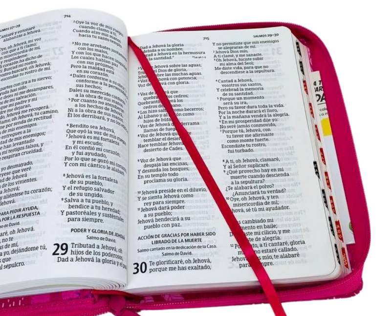 Biblia para ninas letra grade interactiva  RV1960 Rosa ciere con indice