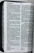 Bíblia letra grande 12 puntos  reina valera 1960 leon gris  con índice cierre