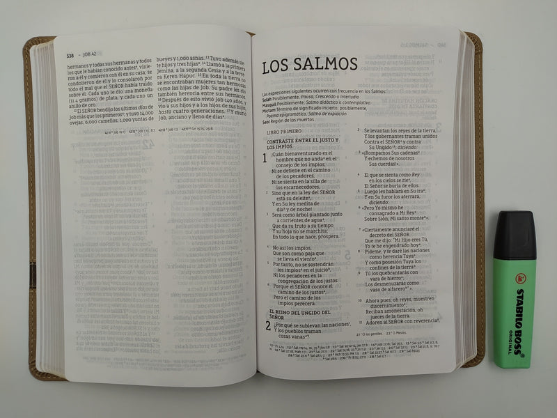 Bíblia ultrafina nueva de las Americas letra grande 10 puntos  tamaño manual