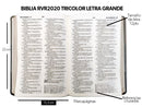 Biblia letra grande Reina valera 2020 PIEL IMITACION GRIS 12 puntos