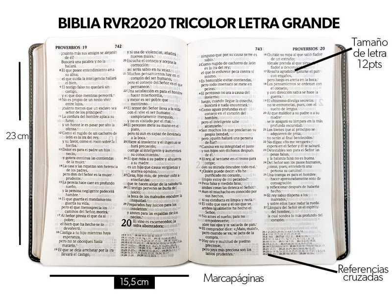 Biblia letra grande Reina valera 2020 PIEL IMITACION GRIS 12 puntos