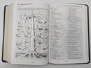 Bíblia pastoral  de referencia Thompson Reina Valera 1960 piel fabricada negro