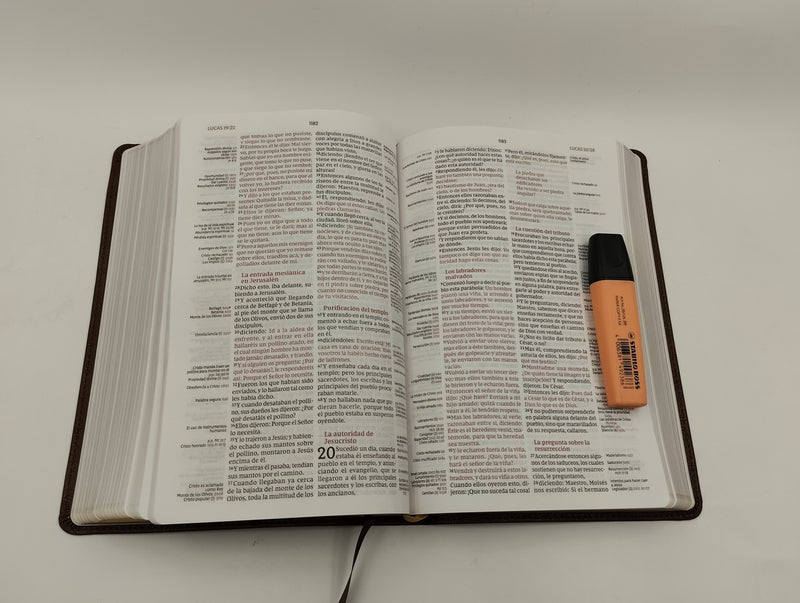 Biblia de Referencia Thompson, Leathersoft, rvr Café, Palabras de Jesús en Rojo