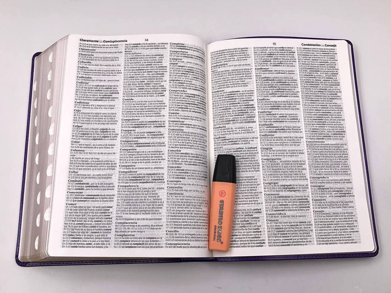 Biblia Letra Súper Gigante 19 puntos RV1960 imit piel lila con índice