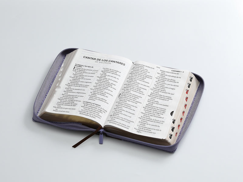 Biblia RVR60 Letra Gigante 19 puntos  i/piel tamano mediano Café/Lila cierre/índice