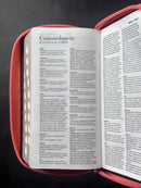 Biblia Chequera Letra 8.5 puntos RV1960 imit piel coral y beige con indice