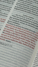 Biblia RVR60 Tamaño manual con broche y asa. Floral sobre negro