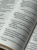Biblia RVR60 Tamaño manual con broche y asa. Café/café