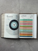 Biblia RVR60 Tamaño manual con broche y asa. Café/café