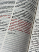 Biblia RVR60 Tamaño manual con broche y asa. Floral con mariposas