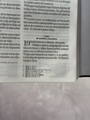 Biblia RVR60 Tamaño manual con broche y asa. León de Judá