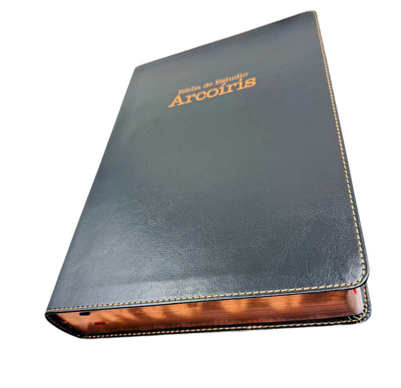 Biblia de estudio arcoíris letra gigante 14 puntos semil  piel negra con indice