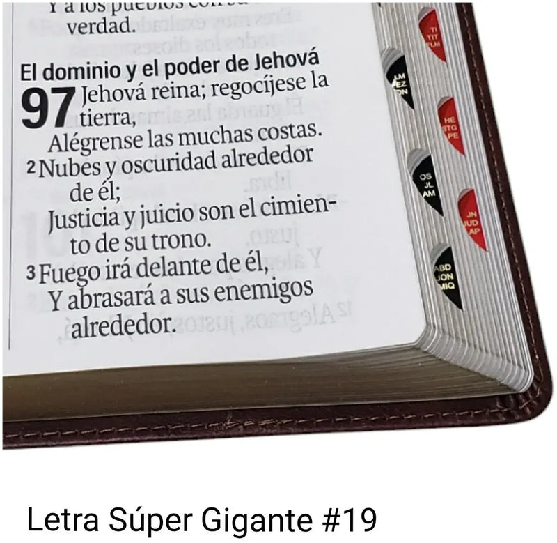 Biblia Letra Súper Gigante 19 puntos Mediana RV1960 imit piel turquesa floral con índice