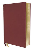 Biblia de estudio trasfondo cultura rvr  Interior a color, Comfort Print: Explora el mundo antiguo de la Escritura