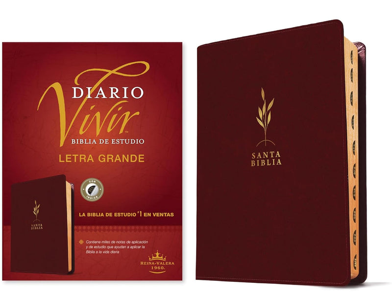 Biblia de Estudio del Diario Vivir Letra Grande RV1960 imit. piel vino tinto con índice