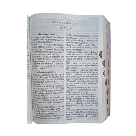 Biblia RVR 1960 Letra Gigante 15 puntos  Símil Piel Negro Turquesa con Índice cierre