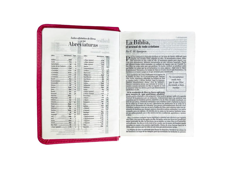 Biblia de Bolsillo RV1960 imit piel fucsia
