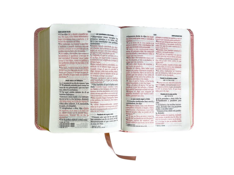 Bíblia para mujer tamaño bolsillo riena Valera 1960 piel imitacion  clasica rosa 8.5