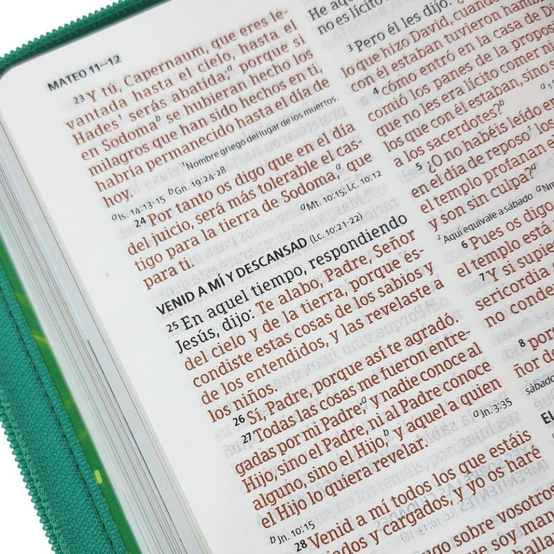 Biblia RVR 1960 Interactiva Para Niños Letra Grande Verde Símil Piel Con Cierre