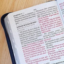 Biblias Manual Bandera de Guatemala / Imitación Piel / imitacion  con Cierre, índice,.14