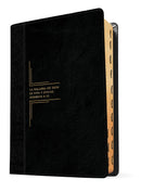 Bíblia de estudio diario vivir letra grande 11 puntos riena Valera 1960 con indice negro