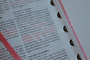 Biblia RVR 1960 letra grande tamaño manual, Piel rosada con índice / Spanish Bible RVR 1960 Handy Size Large Print Leathersoft pink with index
