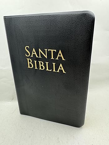 BIBLIA RVR 1960 LETRA GRANDE TAMANO MANUAL VINILO NEGRO CON INDICE 12PUNTOS