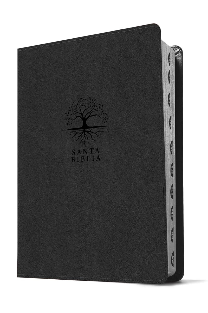 Biblia de Estudio del Diario Vivir Letra Grande  11 puntos RV1960 imit. piel carbón con índice