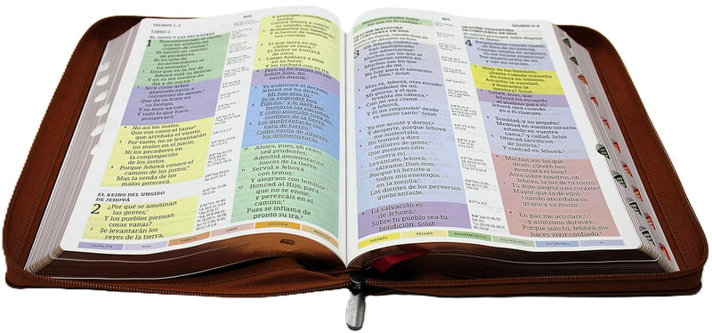 Biblia de Estudio Reina Valera 1960 ArcoIris en nueva letra grande 14 puntos  con Cierre Indice Senti Cuero color Cafel Una cosa he demandado a Jehova esta buscare