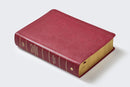 Biblia de estudio trasfondo cultura rvr  Interior a color, Comfort Print: Explora el mundo antiguo de la Escritura