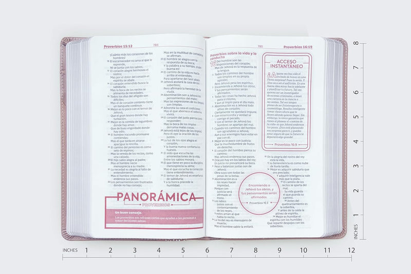 RVR60, Biblia de Estudio para Jóvencitas , Leathersoft, Oro Rosa, Palabras de Jesús en Rojo, Comfort Print