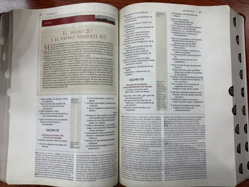 Biblia de Estudio Trasfondo Cultural, RVR Leathersoft, letra Rojo Vino,CON INDICE