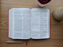 Bilingual Bible / Biblia bilingüe NLT/NTV (LeatherLike, Pink Rose
