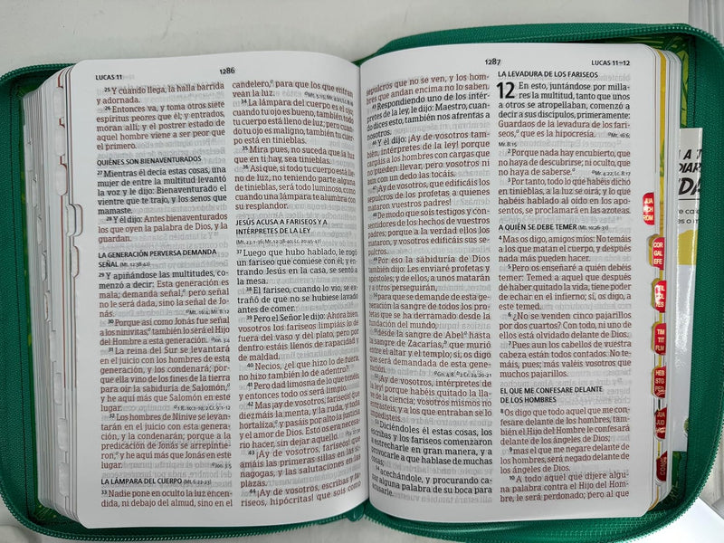 Biblia para Niños Letra Grande Interactiva con Cierre RV1960 tela verde con indice 12 puntos