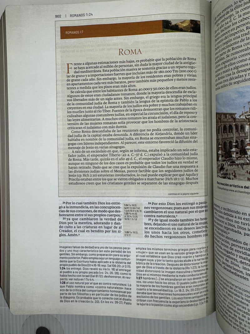 Biblia de Estudio Trasfondo Cultural, RVR Leathersoft, letra Rojo Vino,CON INDICE