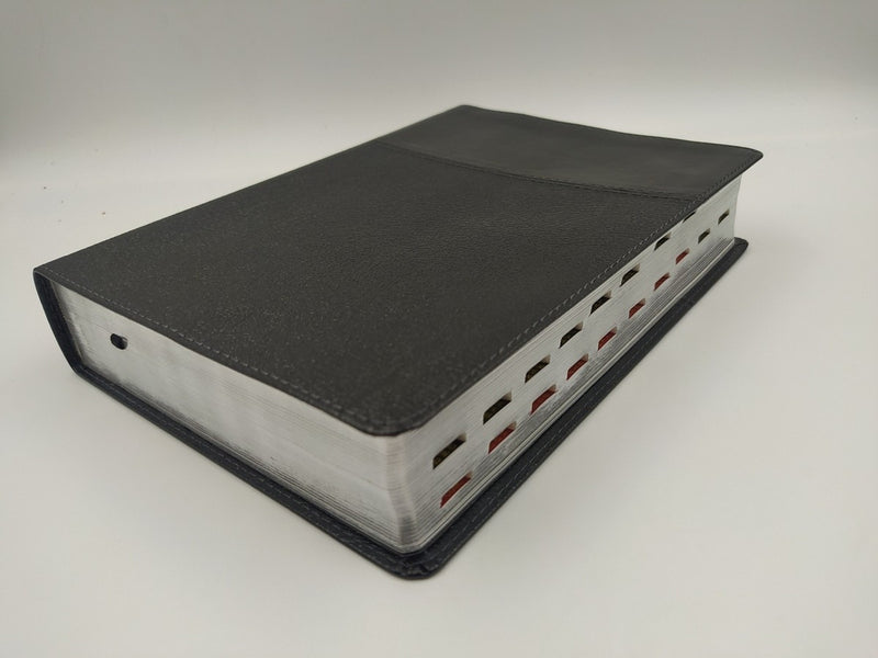 Biblia de estudio Ryrie ampliada reina Valera 1960 dúo tone marrón con índice piel