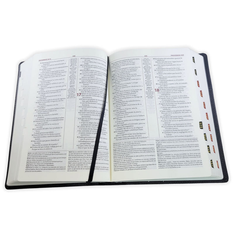 Biblia de estudio Ryrie ampliada reina Valera 1960 dúo tone marrón con índice piel