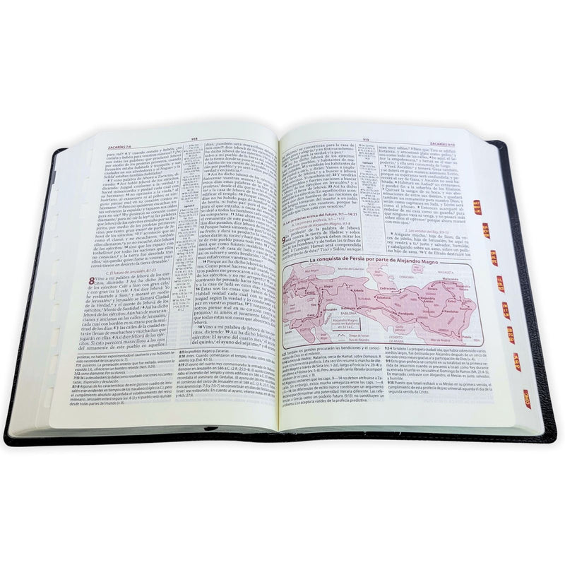 Biblia de estudio Ryrie ampliada reina Valera 1960 dúo tone marrón con índice piel