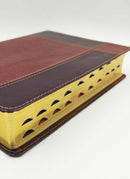 Biblia de estudio Ryrie ampliada reina Valera 1960 dúo tone marrón con índice piel