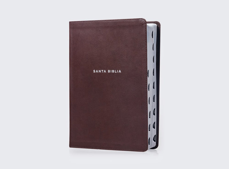 Biblia de Estudio NVI,  actualizada, Revisión 2022, Leathersoft, Café, Letra grande, Interior a color, Palabras de Jesús en Rojo, con Índice,