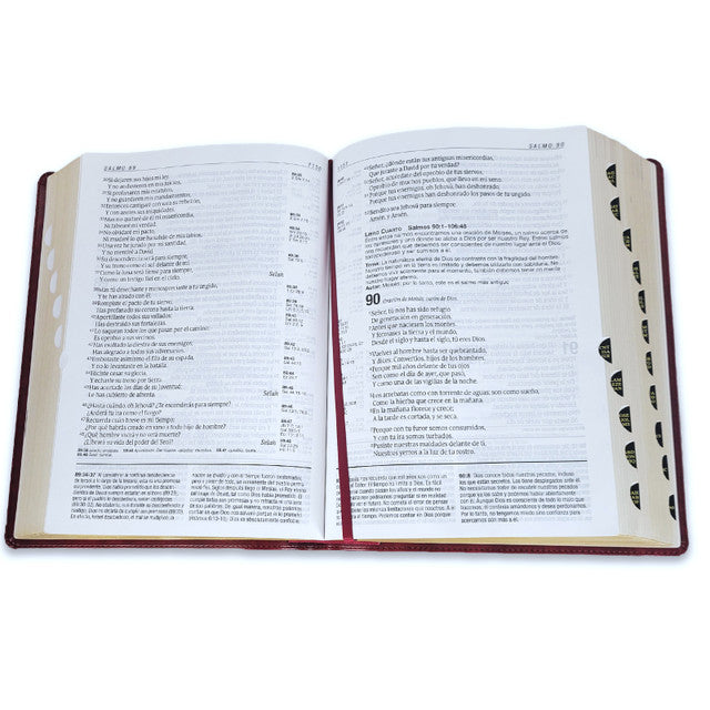 Biblia de Estudio del Diario Vivir Letra Grande RV1960 imit. piel vino tinto con índice