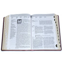 Biblia de Estudio del Diario Vivir Letra Grande  11 puntos RV1960 imit. piel carbón con índice