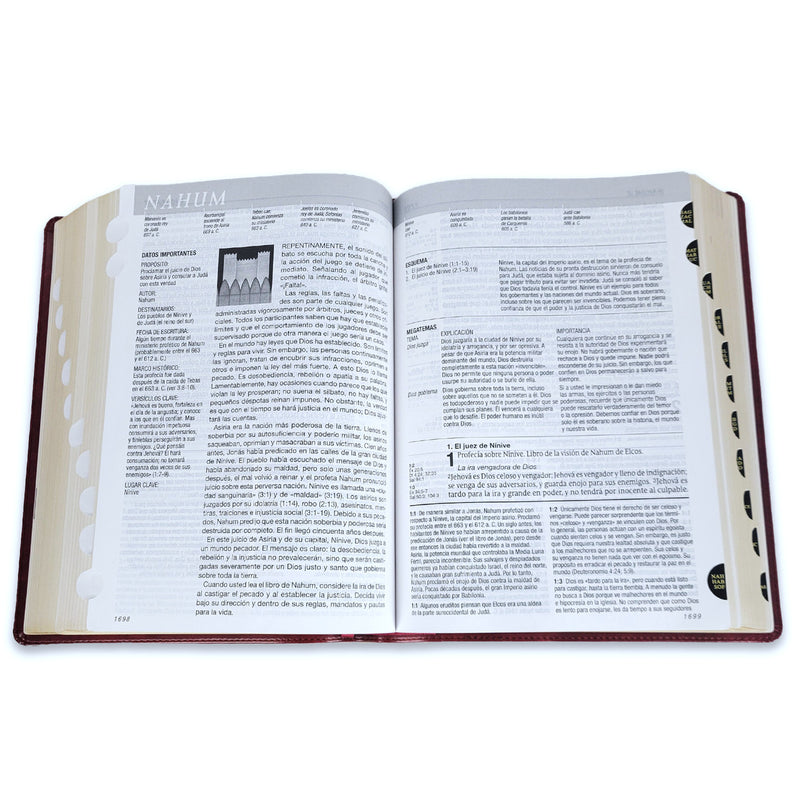Biblia de Estudio del Diario Vivir Letra Grande RV1960 imit. piel vino tinto con índice