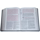 Biblia de Estudio del Diario Vivir Letra Grande  11 puntos RV1960 imit. piel carbón con índice