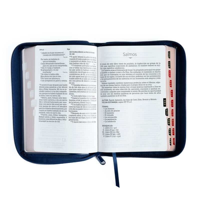 Biblia Letra Grande 12 puntos para hombre azul marino con cierre RV1960