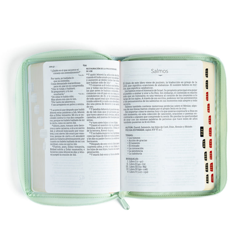 Biblia Letra Grande 12 Puntos Tamaño Manual RVR, 1960 MENTA FLORES SIMILPIEL INDICE