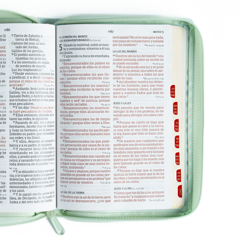 Biblia Letra Grande 12 Puntos Tamaño Manual RVR, 1960 MENTA FLORES SIMILPIEL INDICE